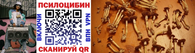Псилоцибиновые грибы мухоморы  купить наркоту  Игарка 